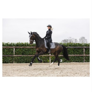 Bonnet d'oreille de cheval au crochet 2026, voile anti-mouches élégant, léger, respirant, lavable, fabriqué au Pakistan pour les compétitions - Product Image 2