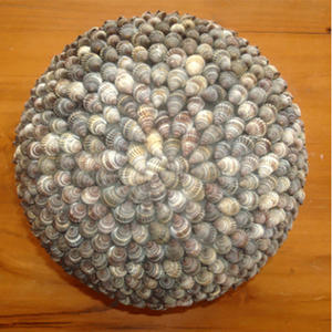 Bola de Concha, Joyería de Concha Marina, 23 cm, Natural Pulida, Decoración para el Hogar con Estilo Náutico y Romántico - Product Image 2