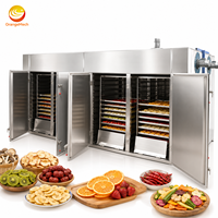 Industriële hetelucht droogkast met 48 trays, voor groenten, fruit, voedsel en specerijen.