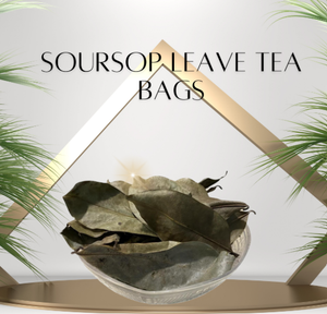 Bolsitas de té de hojas de guanábana - graviola - Product Image 5