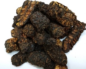 Fruta Noni seca a granel de alta calidad 100% Natural Vietnam Morinda Citrifolia, rodajas y polvo de Noni seco al por mayor a la venta - Product Image 5