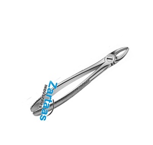 Forceps d'extraction de dents dentaires en acier inoxydable de haute qualité No.1 Fabricant et exportateur d'instruments dentaires - Product Image 6
