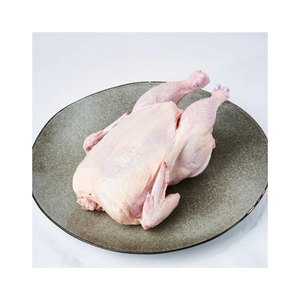 อกไก่ฮาลาลแช่แข็งในกล่องจำนวนมากชั้นวางน้ำหนักตัวกำเนิด - Product Image 2