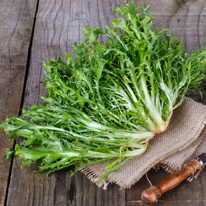 Chicorée d'endives de qualité supérieure: les légumes à feuilles amères les plus vendus disponibles en gros chez les grossistes - Product Image 4