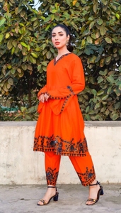 2024 dernières collections d'hiver belles femmes pakistanaises Punjabi Shalwar Kameez et Lehenga Choli vente en gros pour robe d'hiver - Product Image 4