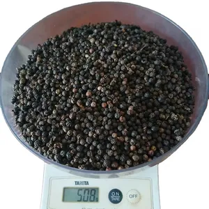 Vietnamesische 500 g/l Pfeffer-Gewürze Standard-Spezifikation FAQ Kontakt Frau Quincy Whatsapp +84 858080598