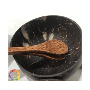 Cuenco de cáscara de coco pulido y respetuoso con el medio ambiente | Cuenco natural de alta calidad para alimentos, muchos tamaños, ligero y al mejor precio - Product Image 6