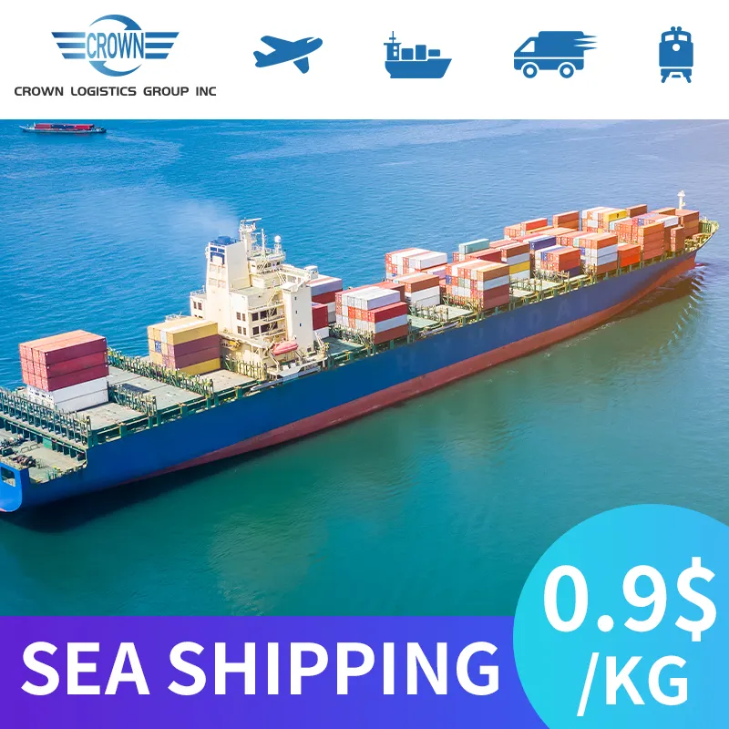 Professional lcl sea freight from China shenzhen to Spain France DDP door to door service fast deliver freight forwarder