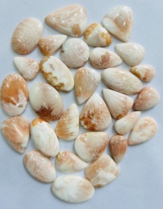 Cabochon de scolecite rose incroyable de qualité AAA pierres précieuses naturelles de différentes tailles pour la fabrication de bijoux concepteur de pierres précieuses conçues - Product Image 3