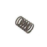 Ressort de soupape de moteur compatible avec Massey Ferguson 0780006 731154M1 831154M1 A4212 A4236 MF35 65 135 165 265 275