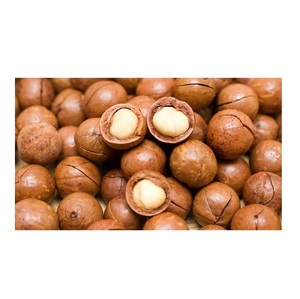 Nueces de Macadamia Orgánicas Secas a Granel en Oferta - Product Image 4