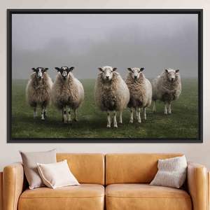 Impression élégante de moutons : Art sur toile encadrée noire style ferme, TOILE ENCADRÉE NOIRE - Product Image 1
