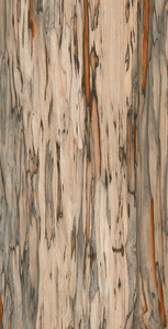 Les fournisseurs indiens proposent des carreaux de céramique de luxe pour grande villa, style design moderne, pour la fabrication de murs intérieurs en Inde. - Product Image 4