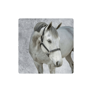 2024 Halter cheval de qualité supérieure personnalisé dernier Edgewise cousu carré surélevé et Professions - Product Image 1