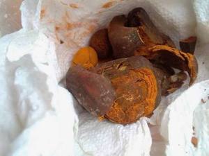 Poudre de calculs biliaires d'ovins/bovins séchés de qualité, comestible et hydrosoluble, 1 kg, durée de conservation de 3 ans, alimentation animale, Afrique du Sud - Product Image 3