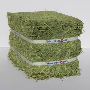 Heno de alfalfa de grado alimenticio al por mayor para perros - Product Image 1