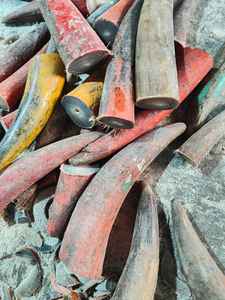 Pièces brutes naturelles de corne de buffle sculptée écologique pour la fabrication artisanale de manches de couteaux, de bijoux et la décoration intérieure - Product Image 6