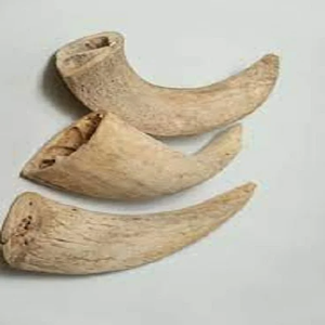 Alimentador de tazón de almacenamiento de alimentos para mascotas con núcleo de hueso de búfalo de origen indio más vendido para masticar perros naturales ecológicos ligeros - Product Image 5