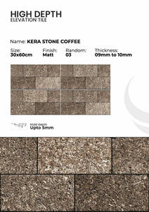 Azulejos de Porcelana para Paredes Exteriores de 300x600 mm, Estilo Moderno - Product Image 3