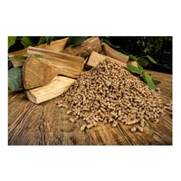 Kopen Top Kwaliteit Hout Brandstof Pellets Pellet Hout 15Kg Zakken Hout Pellets Op Goedkoopste Prijs