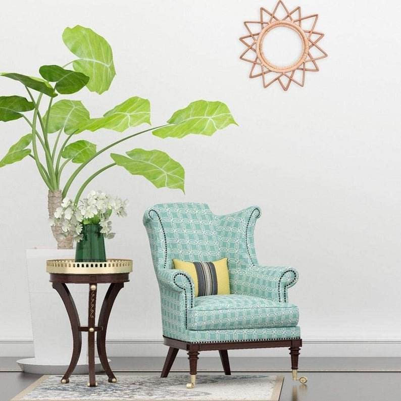 หวายกระจก