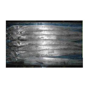 Frozen Ribbon <b>Fish</b> Hairtail <b>Fish</b> Cut Wholesale Supplier Ribbon <b>Fish</b> - Product Image 1