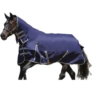 Vendita calda attrezzature per cavalli prodotti equini traspirante Combo stabile cavallo cotone trapano spettacolo Set tappeto con coperta di copertura del collo