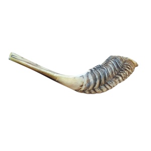 Cuerno de Shofar Pulido de Excelente Calidad al por Mayor, Artesanía Natural de Carnero, Temas Religiosos, Náuticos, Musicales y Animales, Europa, 30-45cm - Product Image 1