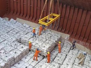 Azúcar de Caña Blanca Refinada Brasileña ICUMSA 45, 5g, 100% Pureza en Bolsita - Product Image 4