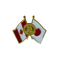 Pin Enamel Seng Bendera Negara Lapisan Nikel Hitam Cetak Letterpress Imitasi Antik Kartun Modern Patriotisme Koleksi