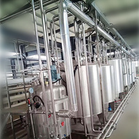Automatische Industriële Ananas Vruchtensap Juicer Concentraat Verwerkingsfabriek Maken Machine Productie Hele Lijn