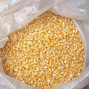 Прямая цена, сушеная Желтая Кукуруза для корма для животных/оптовая продажа Желтая Кукуруза для потребления людьми и животными
