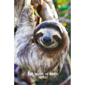 Eat Sleep Be Happy <b>Repeat</b> Modern Sloth Poster for Wall Decor Made of Paper - Product Image 1