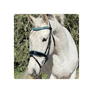 Vente en gros de haute qualité Brides de dressage de chevaux Bride légère noire brevetée Design pliable Prix d'usine pour Fidji - Product Image 1