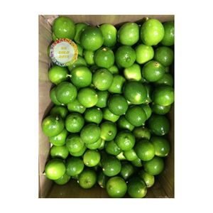 Cítricos verdes naturales de Lima fresca de Vietnam para hacer jugos Uso culinario Procesamiento de bebidas y mercado de exportación al por mayor - Product Image 4