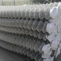 Malla de Alambre de Alta Resistencia de 50*50 mm, 60*60 mm, 75*75 mm para Uso Comercial