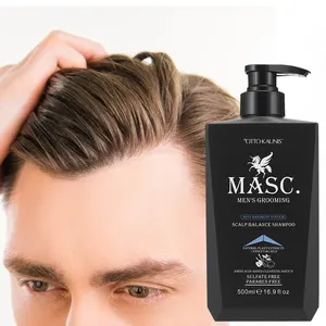 Wholesale Private Label Hair Products Men's Hair Care Products Anti-dandruff System-Scalp Balance Shampoo