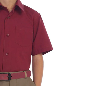 Camisas escolares cómodas de secado rápido de calidad superior para hombres, superventas, 100% de algodón, manga corta, cuello vuelto, camisas escolares - Product Image 3