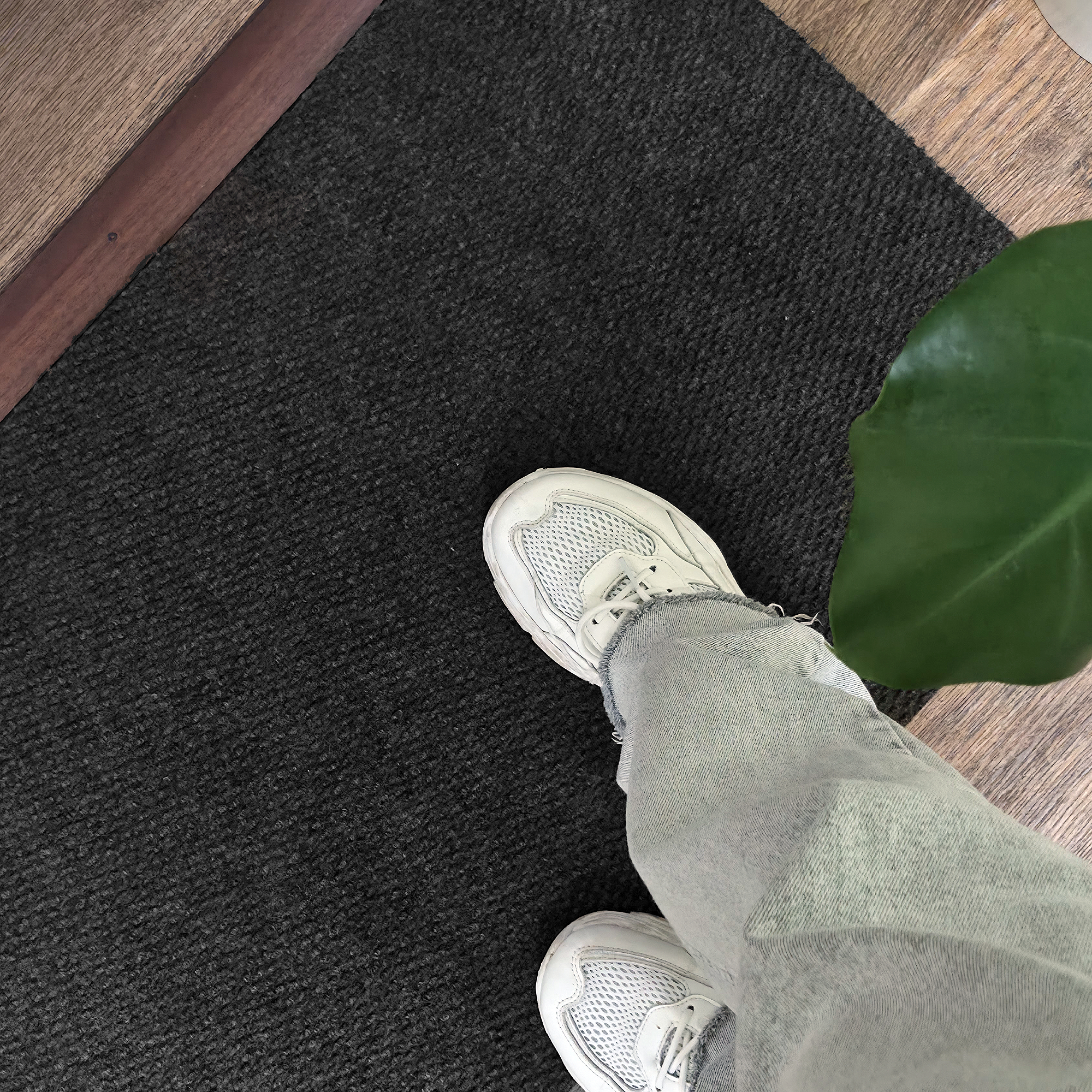 Gris