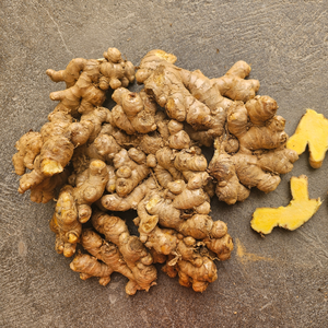 Racine de gingembre fraîche vietnamienne riche en saveur naturelle et en nutriments, parfaite pour le thé et l'usage médicinal - Product Image 6