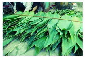 ใบไผ่อบแห้งจากเวียดนาม/2023สินค้าใหม่จากธรรมชาติ - Product Image 3