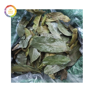 Feuilles de corossol séchées économiques - Qualité garantie - Product Image 3