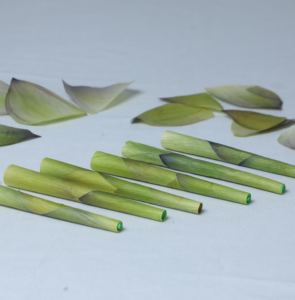 Hot Selling Premium Product Lotus Rolls Cones looking for channel partners Rolls Glass Tips & Wood Tips Green Lotus Hand Rolled - Product Image 2