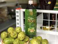 Hoogwaardige Suikervrije Morinda Citrifolia Concentraat Vers Noni Vruchtensap Van Vietnam Planten Te Koop