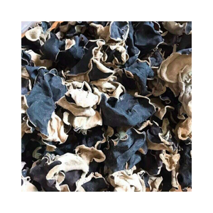 Champignon de qualité supérieure | Champignon séché à bon prix - Product Image 1