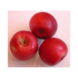 Petites pommes fraîches, douces et croquantes, pour l'emballage de détail, les supermarchés, les fournisseurs de collations et les acheteurs commerciaux - Product Image 5