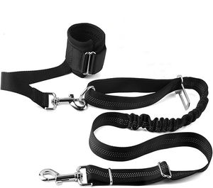 Guinzaglio per Cani Retrattile Classico Personalizzato in Gomma Solida, con Cinturino da Polso e Nastri - Product Image 1