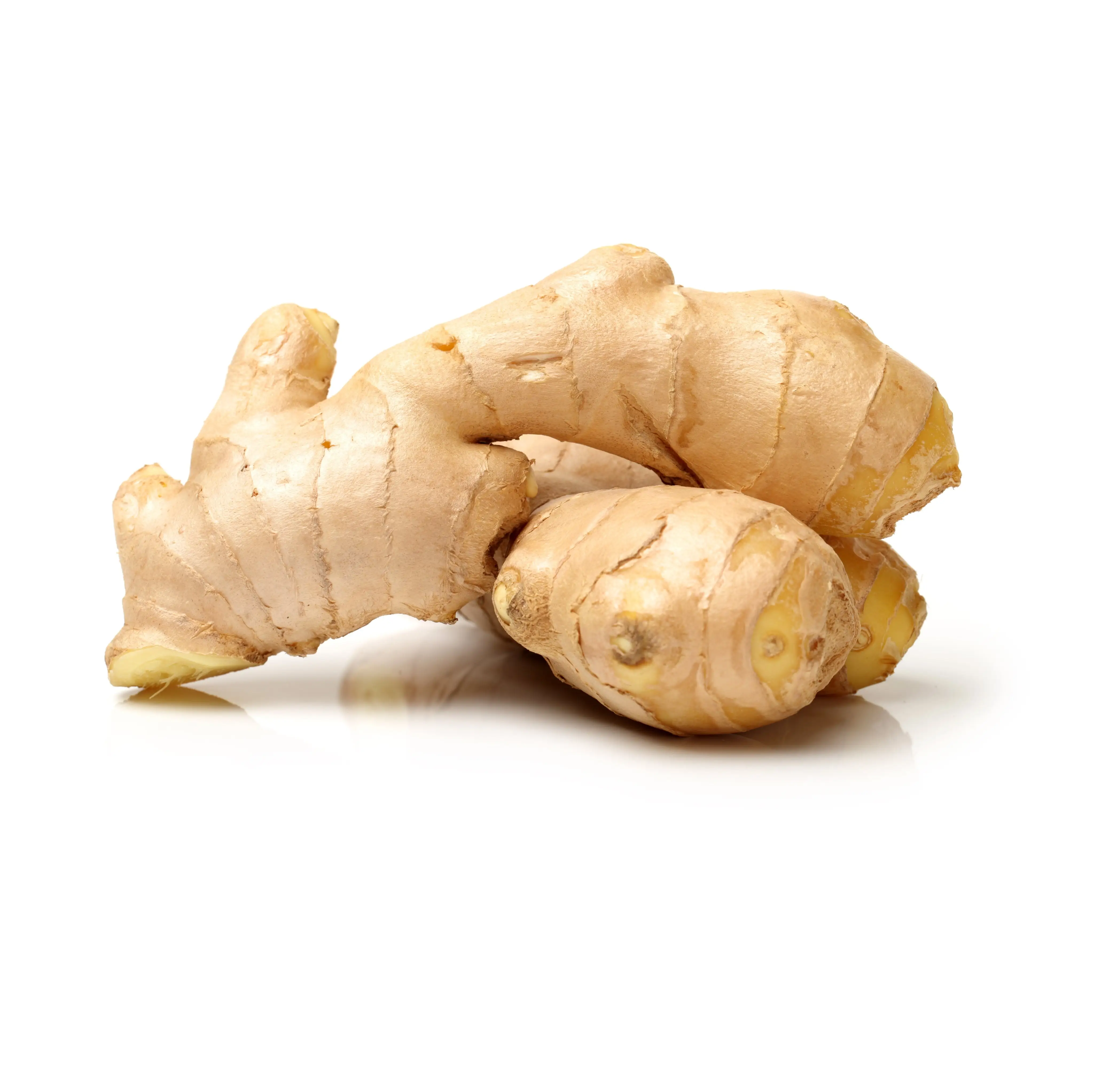 2024 New Crop Fresh Vietnamese Ginger Root Washed and Sized for Food Use for Export