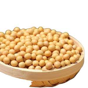 Natural and Non- GMO Yellow <b>Soybean</b> <b>Seeds</b> / <b>Soybean</b> / Soya Beans High Quality Canada Origin <b>Soybeans</b> - Product Image 4