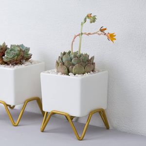 Juego de 2 macetas de metal con acabado dorado de estilo más nuevo Fabricante al por mayor Maceta de metal para decoración de hogar y jardín - Product Image 2